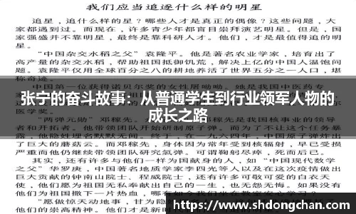 张宁的奋斗故事：从普通学生到行业领军人物的成长之路