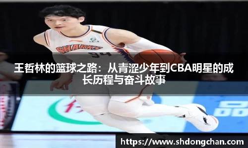 王哲林的篮球之路：从青涩少年到CBA明星的成长历程与奋斗故事