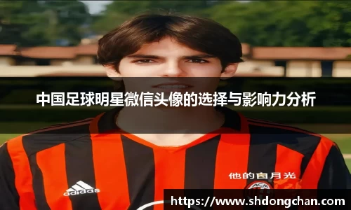 中国足球明星微信头像的选择与影响力分析
