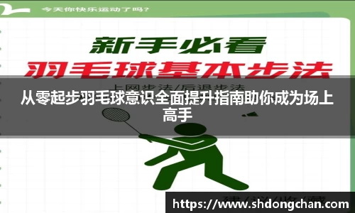 从零起步羽毛球意识全面提升指南助你成为场上高手